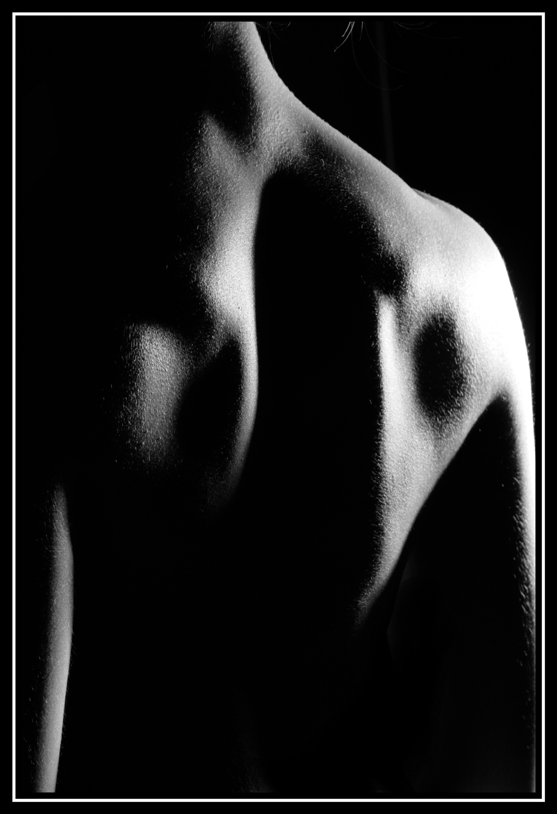 Bb   03   074web